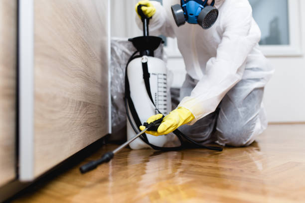 Best Exterminator Services  in Windsor, CA