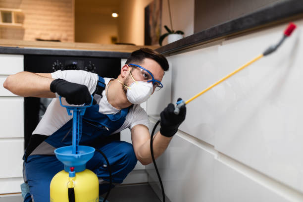 Best Termite Control Services  in Windsor, CA