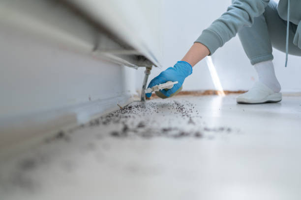 Best Affordable Pest Control Services  in Windsor, CA